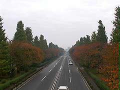 大学通り・歩道橋の上からの写真